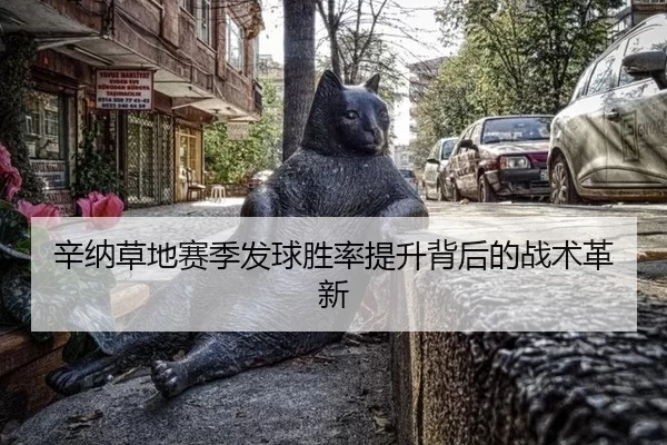 辛纳草地赛季发球胜率提升背后的战术革新