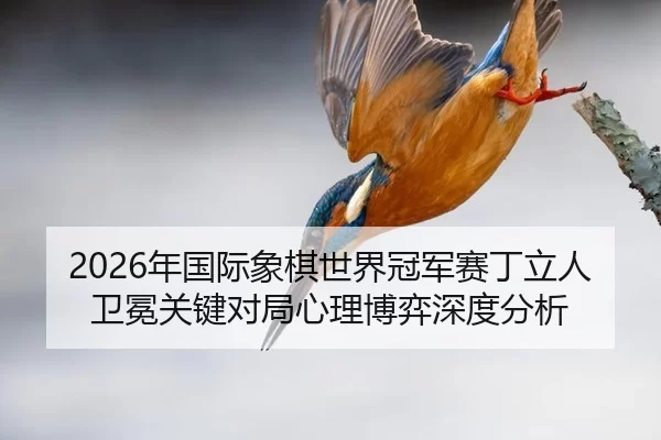2026年国际象棋世界冠军赛丁立人卫冕关键对局心理博弈深度分析